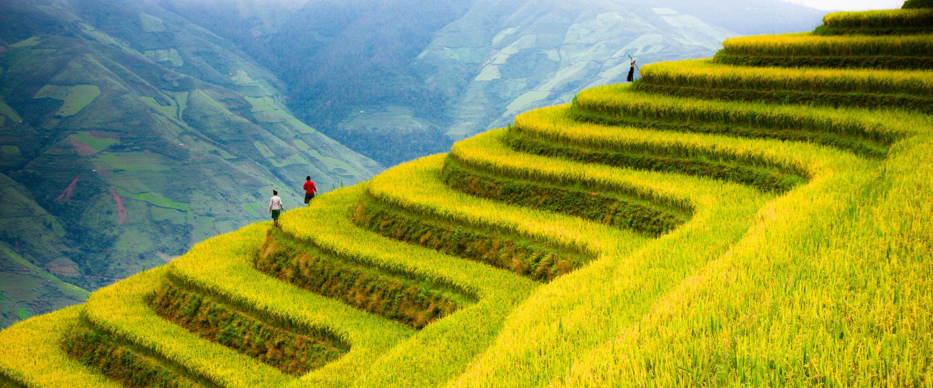טיול בויאטנם חופשה חלומית של 16 יום בין פלאי הטבע של הצפון